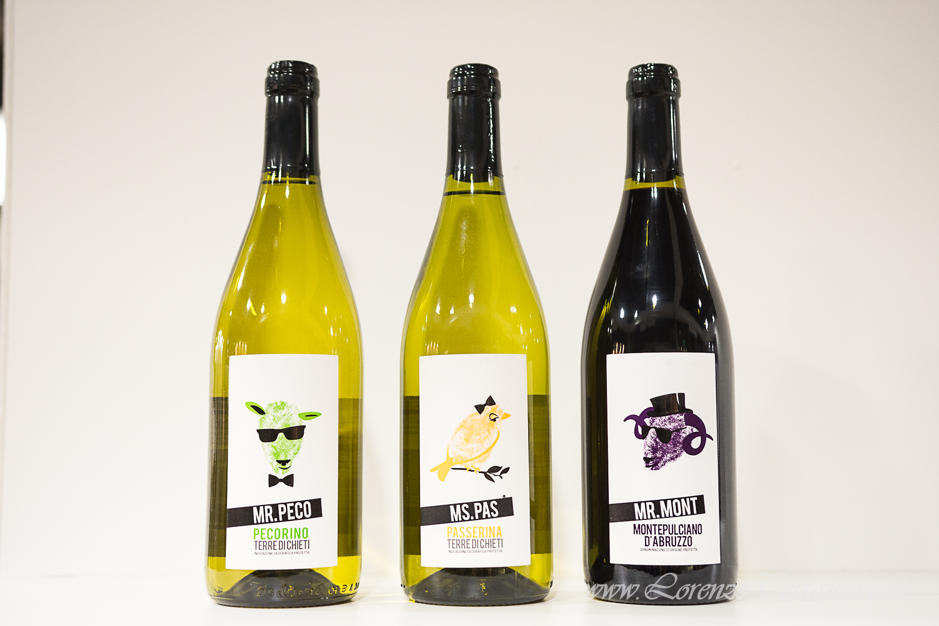 Foto e-commerce bottiglie di vino